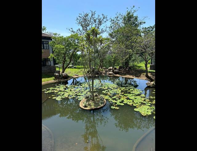 161M² OFFICE TO LET IN WESTVILLE
